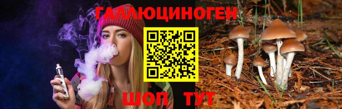 Батайск  Галлюциногенные грибы Psilocybe  Вход с VPN 